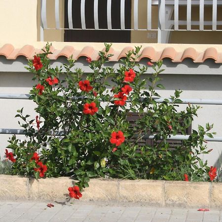 Baia Dei Canonici Aparthotel Villaggio Le Rocelle Exterior photo