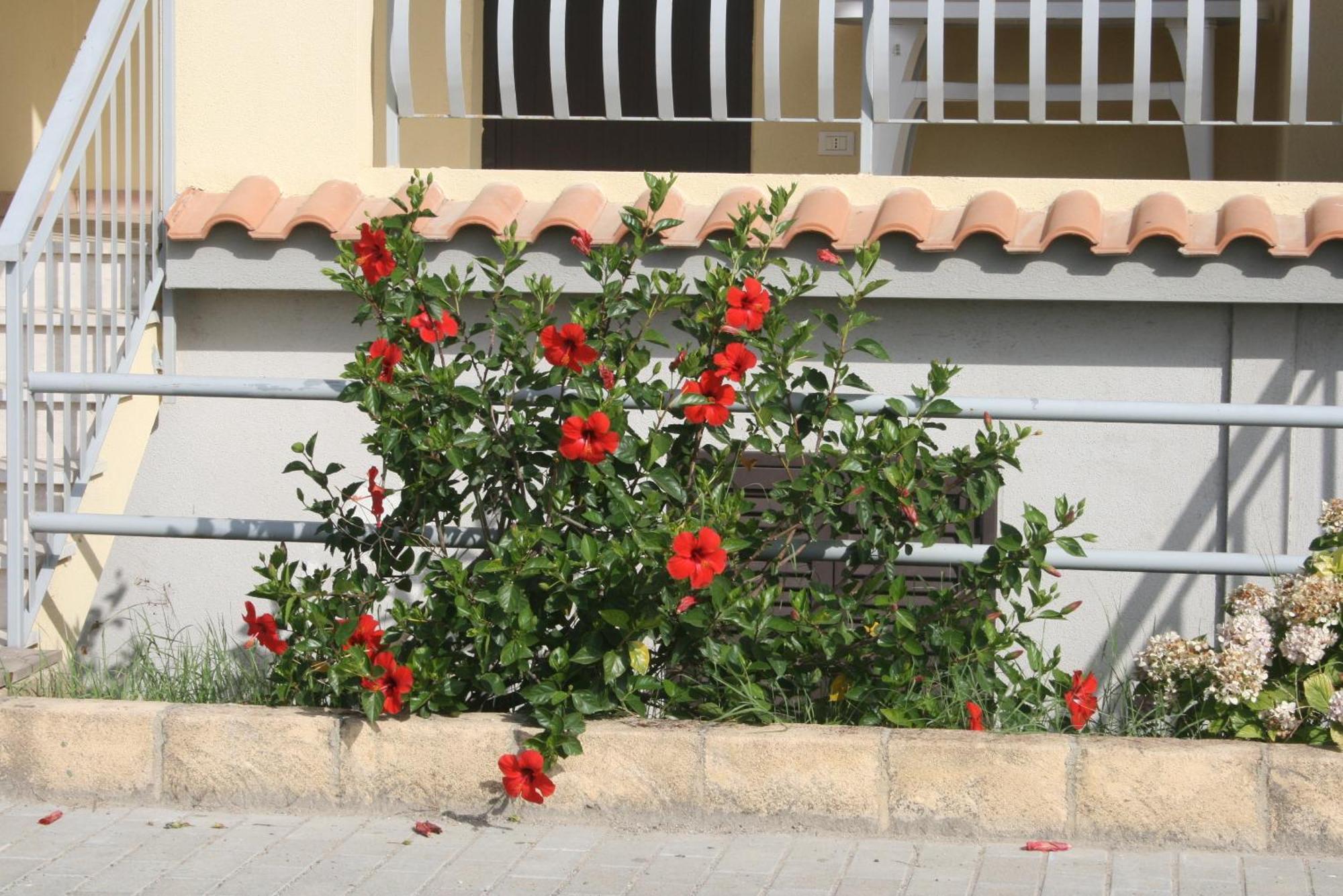 Baia Dei Canonici Aparthotel Villaggio Le Rocelle Exterior photo